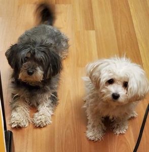 Meet your Posher, Paula